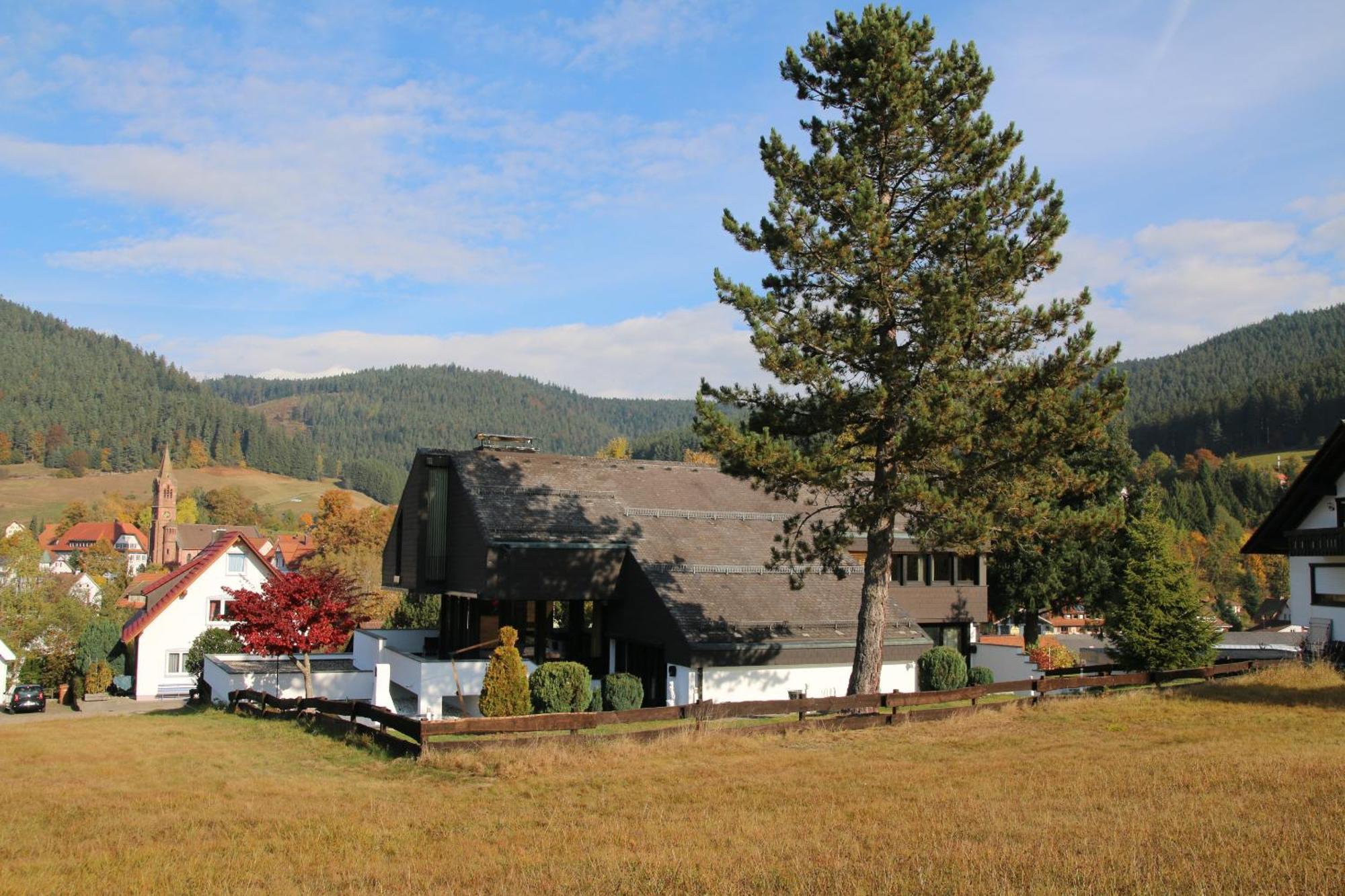 Luxus-Landhaus Im Schwarzwald/Baiersbronn Mit Pool Екстер'єр фото
