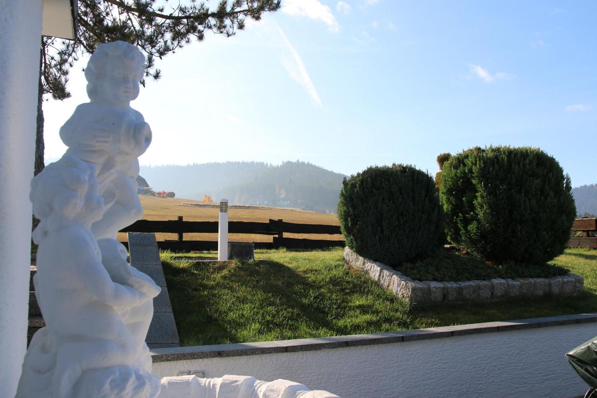 Luxus-Landhaus Im Schwarzwald/Baiersbronn Mit Pool Екстер'єр фото