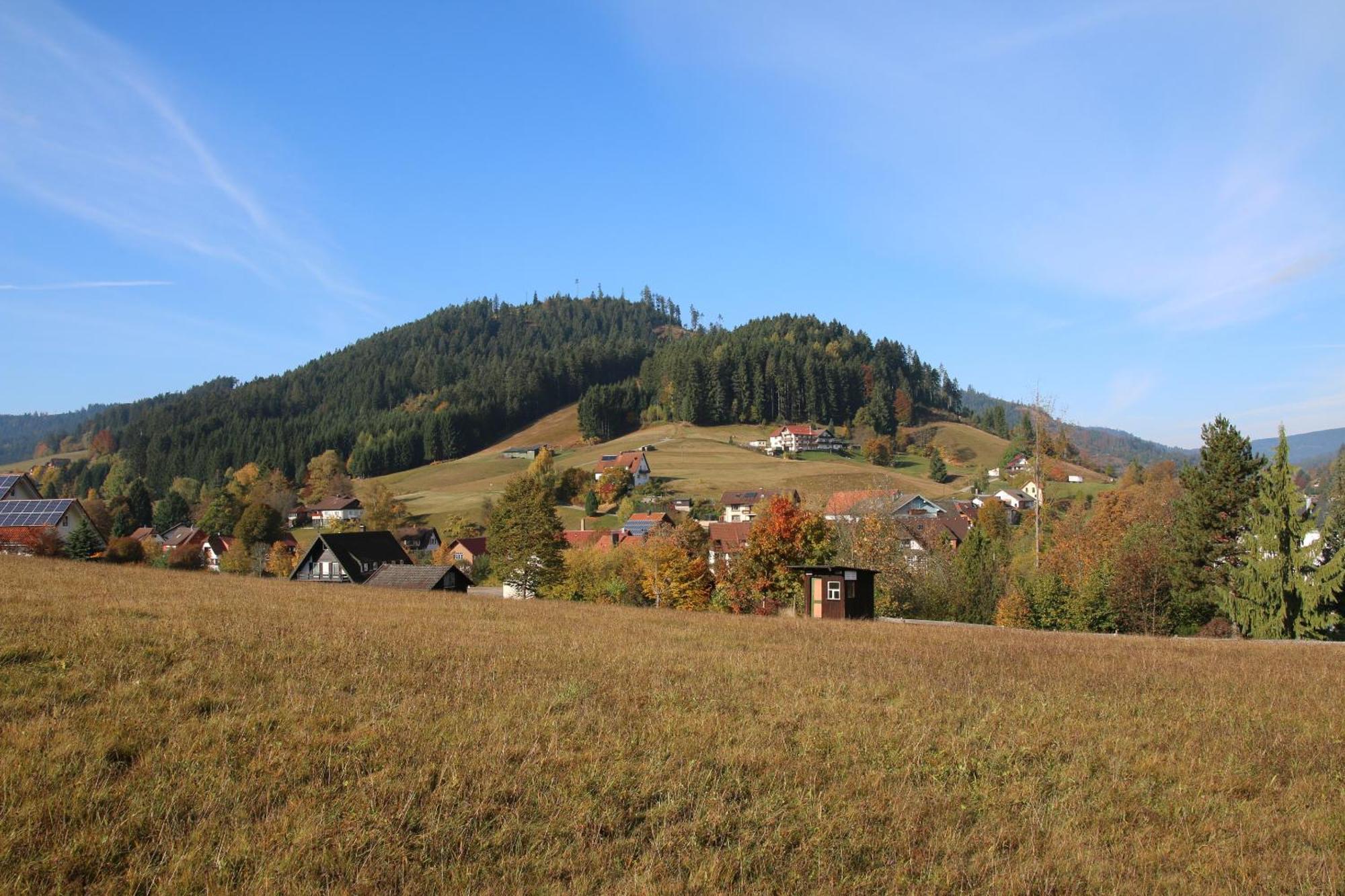 Luxus-Landhaus Im Schwarzwald/Baiersbronn Mit Pool Екстер'єр фото